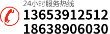 0391-3299600